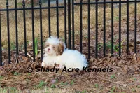 processed/30b5037a-b38c-496a-bcaa-7b1ee2f2b3da/listing/72c4c776-ed41-48c0-8c1d-5fbc89fc841b/5ab0bba5-fcef-46fa-8826-21cd6b167fee