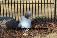 processed/30b5037a-b38c-496a-bcaa-7b1ee2f2b3da/listing/72c4c776-ed41-48c0-8c1d-5fbc89fc841b/5c81b2f7-af68-43bf-af5c-3e412033655c