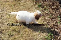 processed/30b5037a-b38c-496a-bcaa-7b1ee2f2b3da/listing/72c4c776-ed41-48c0-8c1d-5fbc89fc841b/a7b0aa1a-df00-47ba-be0a-2dbb227ba1e8