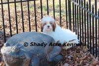 processed/30b5037a-b38c-496a-bcaa-7b1ee2f2b3da/listing/72c4c776-ed41-48c0-8c1d-5fbc89fc841b/b9052c00-b312-4d05-b1b4-e9e82e1fdabd