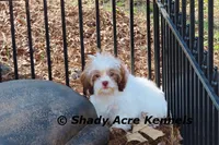 processed/30b5037a-b38c-496a-bcaa-7b1ee2f2b3da/listing/72c4c776-ed41-48c0-8c1d-5fbc89fc841b/dca6b32d-bd1a-4b13-9004-6129d6c53235