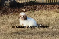 processed/30b5037a-b38c-496a-bcaa-7b1ee2f2b3da/listing/72c4c776-ed41-48c0-8c1d-5fbc89fc841b/e9c55a60-a192-415f-b3fc-117a5873b7bd