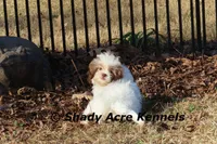 processed/30b5037a-b38c-496a-bcaa-7b1ee2f2b3da/listing/72c4c776-ed41-48c0-8c1d-5fbc89fc841b/ea5ba0ea-375e-4a0f-a865-4eb47e719d78