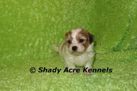 processed/30b5037a-b38c-496a-bcaa-7b1ee2f2b3da/listing/89976149-21a9-4053-aaa0-4174bac910a3/105c060b-ca4b-4b7a-8c21-b1b6e1cabb73