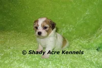 processed/30b5037a-b38c-496a-bcaa-7b1ee2f2b3da/listing/89976149-21a9-4053-aaa0-4174bac910a3/17a7d19f-a6b1-4627-9770-e3769cb50df6