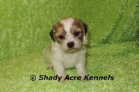 processed/30b5037a-b38c-496a-bcaa-7b1ee2f2b3da/listing/89976149-21a9-4053-aaa0-4174bac910a3/3067ce7a-1ccc-4b33-882a-3b22246838b1