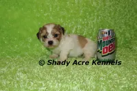 processed/30b5037a-b38c-496a-bcaa-7b1ee2f2b3da/listing/89976149-21a9-4053-aaa0-4174bac910a3/c7a1bd19-03f5-4c0e-abb1-1af293506b24