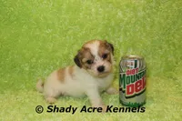 processed/30b5037a-b38c-496a-bcaa-7b1ee2f2b3da/listing/89976149-21a9-4053-aaa0-4174bac910a3/ca504bfa-bae4-4907-bd5b-3db6982ea53e