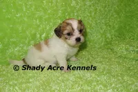 processed/30b5037a-b38c-496a-bcaa-7b1ee2f2b3da/listing/89976149-21a9-4053-aaa0-4174bac910a3/e540a94e-dcb5-46cc-94b9-7cb45bc009ff