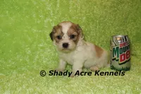 processed/30b5037a-b38c-496a-bcaa-7b1ee2f2b3da/listing/89976149-21a9-4053-aaa0-4174bac910a3/ea1efbbd-13c5-4bbf-b5c9-354445bcbe4e