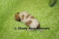 processed/30b5037a-b38c-496a-bcaa-7b1ee2f2b3da/listing/89976149-21a9-4053-aaa0-4174bac910a3/f9bd3af5-8339-4576-9b00-1f1b7e5c9f90