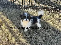 processed/30b5037a-b38c-496a-bcaa-7b1ee2f2b3da/listing/bc4b6d60-39e7-444a-97a7-17889611cca9/0b6ce994-8b76-4b62-843b-04dec1c6bc63