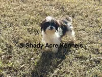 processed/30b5037a-b38c-496a-bcaa-7b1ee2f2b3da/listing/bc4b6d60-39e7-444a-97a7-17889611cca9/5f13effc-875e-4410-81bb-ef4947dd03d6