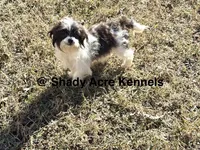 processed/30b5037a-b38c-496a-bcaa-7b1ee2f2b3da/listing/bc4b6d60-39e7-444a-97a7-17889611cca9/7af7b014-b8d6-404c-b9cc-9f6eb83c4491