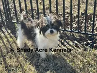 processed/30b5037a-b38c-496a-bcaa-7b1ee2f2b3da/listing/bc4b6d60-39e7-444a-97a7-17889611cca9/a4a7fa81-2e41-4ef8-81aa-ac1564975053