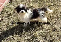 processed/30b5037a-b38c-496a-bcaa-7b1ee2f2b3da/listing/bc4b6d60-39e7-444a-97a7-17889611cca9/ae06e6af-5e3f-44e4-a60c-d543dc1cc7a6