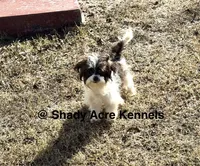 processed/30b5037a-b38c-496a-bcaa-7b1ee2f2b3da/listing/bc4b6d60-39e7-444a-97a7-17889611cca9/b161b527-fceb-40af-bd57-622ac136d052