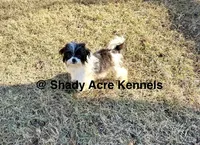 processed/30b5037a-b38c-496a-bcaa-7b1ee2f2b3da/listing/bc4b6d60-39e7-444a-97a7-17889611cca9/beed6b68-4e51-4848-b737-6b181dd7a9dc