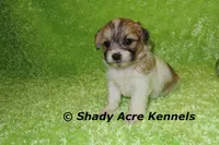 processed/30b5037a-b38c-496a-bcaa-7b1ee2f2b3da/listing/c9f80b07-b946-457c-8c21-d376d36fc296/19d95543-6001-4b51-b951-816feb4d82a1