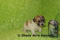 processed/30b5037a-b38c-496a-bcaa-7b1ee2f2b3da/listing/c9f80b07-b946-457c-8c21-d376d36fc296/23af5ecf-ab29-4ddf-900c-0e74a9ace3cb