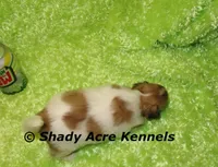 processed/30b5037a-b38c-496a-bcaa-7b1ee2f2b3da/listing/c9f80b07-b946-457c-8c21-d376d36fc296/2778c6b0-b409-4fd3-b693-484c9f6cfeb5