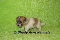 processed/30b5037a-b38c-496a-bcaa-7b1ee2f2b3da/listing/c9f80b07-b946-457c-8c21-d376d36fc296/33c09b1f-673d-4a7d-a3c1-c1ef28d3dc60