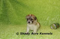 processed/30b5037a-b38c-496a-bcaa-7b1ee2f2b3da/listing/c9f80b07-b946-457c-8c21-d376d36fc296/59b5f156-3700-4ccb-9692-408dbc4ba508