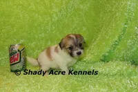 processed/30b5037a-b38c-496a-bcaa-7b1ee2f2b3da/listing/c9f80b07-b946-457c-8c21-d376d36fc296/60082cd5-0ad8-469a-a3d7-423800ce5394