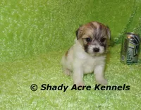 processed/30b5037a-b38c-496a-bcaa-7b1ee2f2b3da/listing/c9f80b07-b946-457c-8c21-d376d36fc296/a8e5f013-ae6a-4747-ad09-ecf08edfd1d6