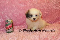 processed/30b5037a-b38c-496a-bcaa-7b1ee2f2b3da/listing/de0bcb07-7dbb-44d3-8602-22b58cc0cc6b/10200d51-f250-4718-84c9-66c1be9971b5