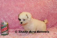 processed/30b5037a-b38c-496a-bcaa-7b1ee2f2b3da/listing/de0bcb07-7dbb-44d3-8602-22b58cc0cc6b/1bec378c-c052-41e7-abed-d70b05f6ad95