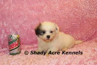 processed/30b5037a-b38c-496a-bcaa-7b1ee2f2b3da/listing/de0bcb07-7dbb-44d3-8602-22b58cc0cc6b/1dd756ab-2c46-4982-97b1-10692d7458a1