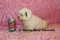 processed/30b5037a-b38c-496a-bcaa-7b1ee2f2b3da/listing/de0bcb07-7dbb-44d3-8602-22b58cc0cc6b/2fbcb2d8-c243-44dc-bdf8-31111bbf497b