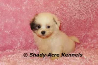 processed/30b5037a-b38c-496a-bcaa-7b1ee2f2b3da/listing/de0bcb07-7dbb-44d3-8602-22b58cc0cc6b/346757a4-dad6-4a0b-a31d-df0802f5766a