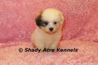 processed/30b5037a-b38c-496a-bcaa-7b1ee2f2b3da/listing/de0bcb07-7dbb-44d3-8602-22b58cc0cc6b/9ab41d49-ee68-43ff-8c36-6045348ceb5d