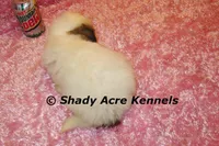 processed/30b5037a-b38c-496a-bcaa-7b1ee2f2b3da/listing/de0bcb07-7dbb-44d3-8602-22b58cc0cc6b/d31d49e2-3350-400f-85d8-e86776fe9e7c