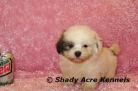 processed/30b5037a-b38c-496a-bcaa-7b1ee2f2b3da/listing/de0bcb07-7dbb-44d3-8602-22b58cc0cc6b/d7f0534d-71cc-4a91-8a3b-a6888dc80af0