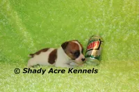 processed/30b5037a-b38c-496a-bcaa-7b1ee2f2b3da/listing/e8d90166-551a-42bc-92f5-183a59acbc22/2bbc65f4-e4bd-4348-be0b-ac9e9ade07e5