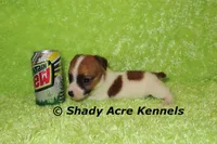 processed/30b5037a-b38c-496a-bcaa-7b1ee2f2b3da/listing/e8d90166-551a-42bc-92f5-183a59acbc22/39d52fc5-1572-4b7a-ba41-74241159d745