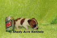 processed/30b5037a-b38c-496a-bcaa-7b1ee2f2b3da/listing/e8d90166-551a-42bc-92f5-183a59acbc22/3d45b079-6a40-4b87-941f-6e56dd05c889