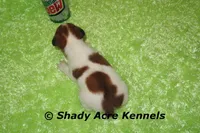 processed/30b5037a-b38c-496a-bcaa-7b1ee2f2b3da/listing/e8d90166-551a-42bc-92f5-183a59acbc22/d6a0196e-e20f-4c22-9dde-1d11d42fbb2e