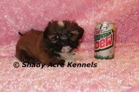 processed/30b5037a-b38c-496a-bcaa-7b1ee2f2b3da/listing/e953387d-a095-47ae-a567-c5d59ae0a12c/402ef7c4-84a1-4604-8298-7b86aba85028