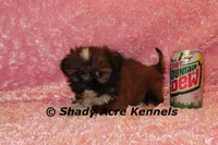 processed/30b5037a-b38c-496a-bcaa-7b1ee2f2b3da/listing/e953387d-a095-47ae-a567-c5d59ae0a12c/624b9915-6973-4fb8-8023-453b8a2ecef7