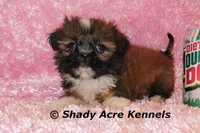 processed/30b5037a-b38c-496a-bcaa-7b1ee2f2b3da/listing/e953387d-a095-47ae-a567-c5d59ae0a12c/6e097a89-4715-4748-afb4-8239fb95706d