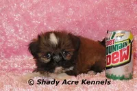 processed/30b5037a-b38c-496a-bcaa-7b1ee2f2b3da/listing/e953387d-a095-47ae-a567-c5d59ae0a12c/7d317edf-2d22-42b1-b85d-b7af49d601d2