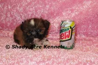 processed/30b5037a-b38c-496a-bcaa-7b1ee2f2b3da/listing/e953387d-a095-47ae-a567-c5d59ae0a12c/a0561ab8-c00f-415d-b325-766f85c3ea5b