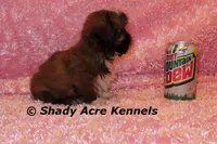 processed/30b5037a-b38c-496a-bcaa-7b1ee2f2b3da/listing/e953387d-a095-47ae-a567-c5d59ae0a12c/ab1a42a8-1b6e-4d76-a5d7-6546103ec89d