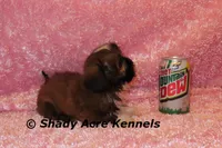 processed/30b5037a-b38c-496a-bcaa-7b1ee2f2b3da/listing/e953387d-a095-47ae-a567-c5d59ae0a12c/b9d2baea-f4e8-4da7-bf7f-5efc33dc74ac