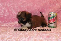 processed/30b5037a-b38c-496a-bcaa-7b1ee2f2b3da/listing/e953387d-a095-47ae-a567-c5d59ae0a12c/c4733c5e-c64b-4d0c-b7b0-dffb777c3e05