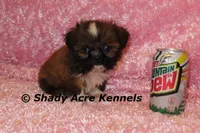 processed/30b5037a-b38c-496a-bcaa-7b1ee2f2b3da/listing/e953387d-a095-47ae-a567-c5d59ae0a12c/c839231c-8803-4e53-9ba1-e30eab973c95